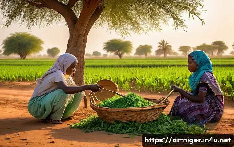 니제르에서 가장 유명한 마을과 도시 관련 이미지 1