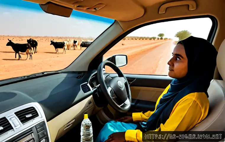 Home 17 니제르에서 자동차 운전 시 유의점 - Photorealistic view from inside a modern car driving on the right side of a paved highway in Niger, ...